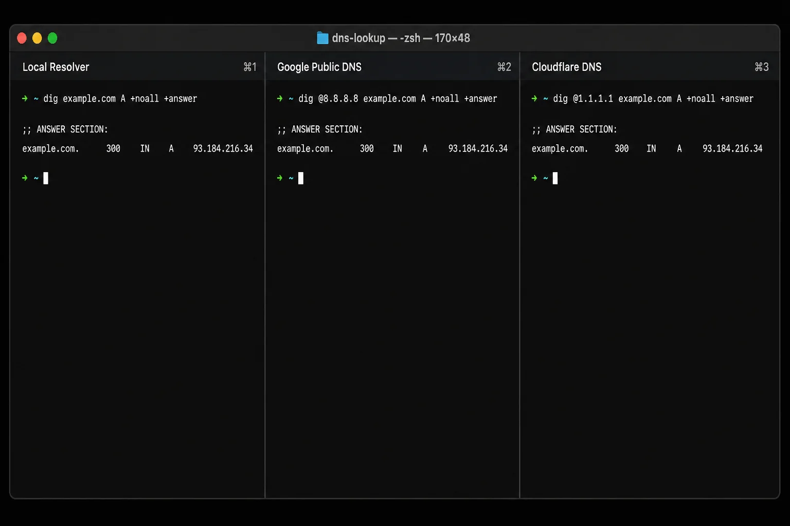 Side-by-side queries for the same A record through the local resolver, 8.8.8.8, and 1.1.1.1 with each resolver label plus record values and TTLs visible
