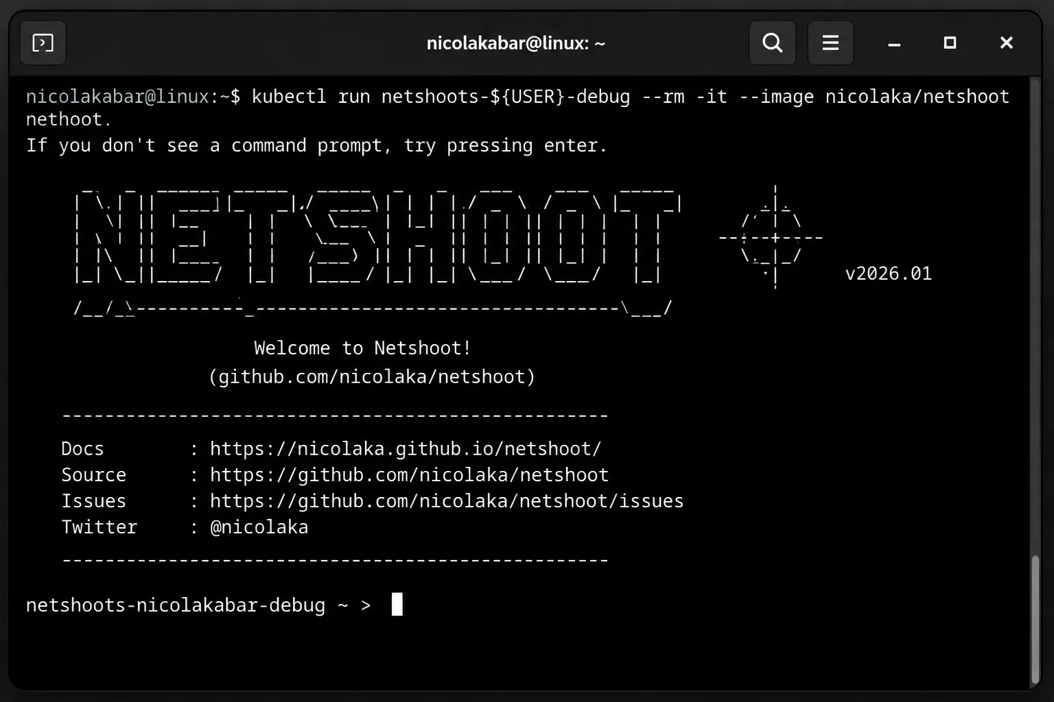 Terminal output of an interactive netshoot debug pod session running curl and dig against a cluster Service