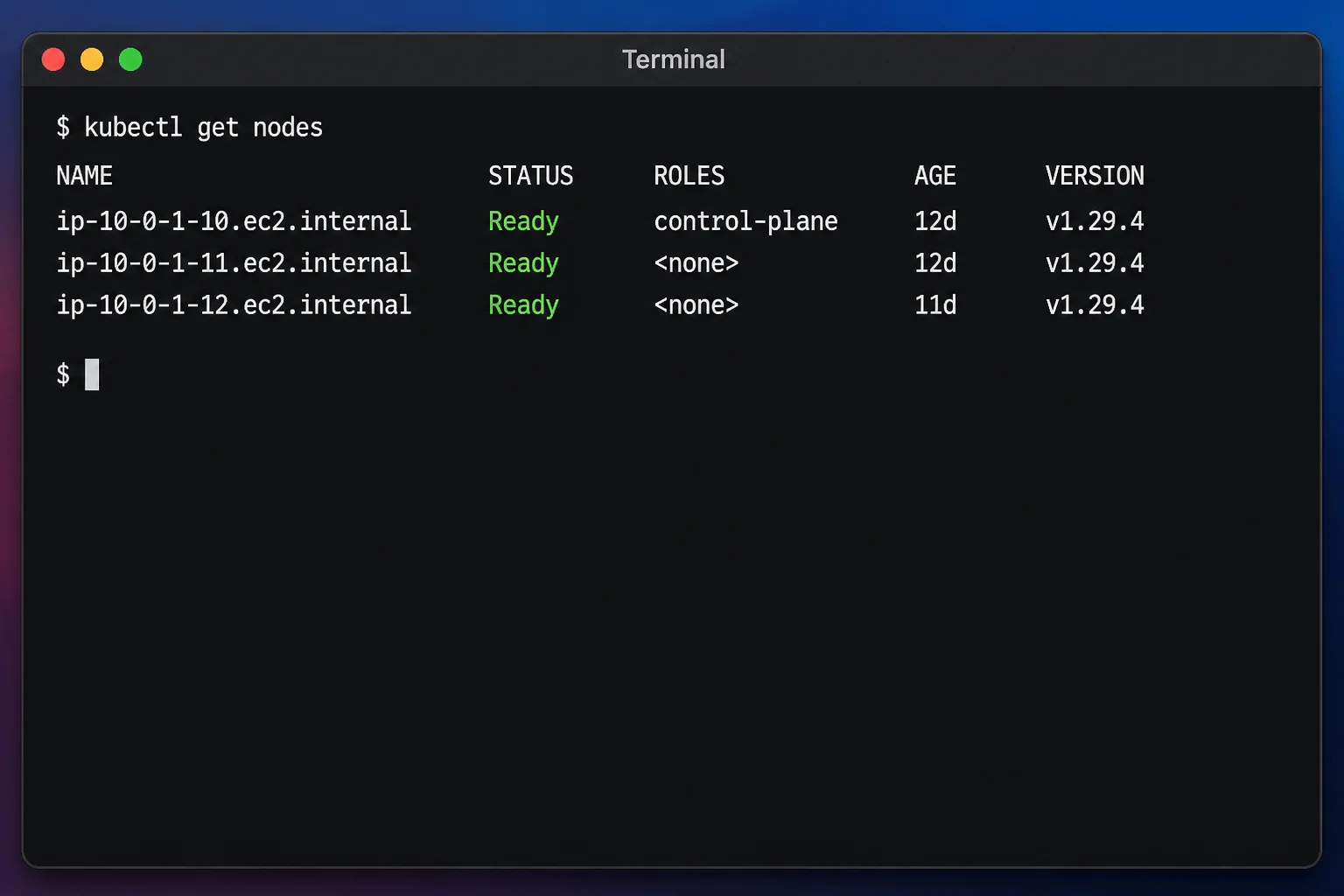 Terminal output from kubectl get nodes with the Ready status highlighted