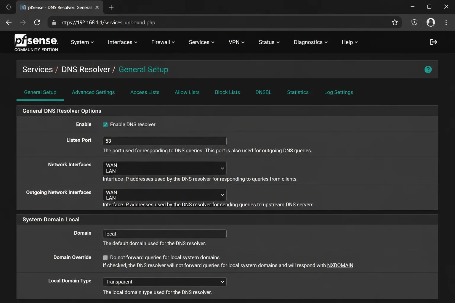 pfSense DNS Resolver settings page with the Custom options text box showing rate-limiting directives