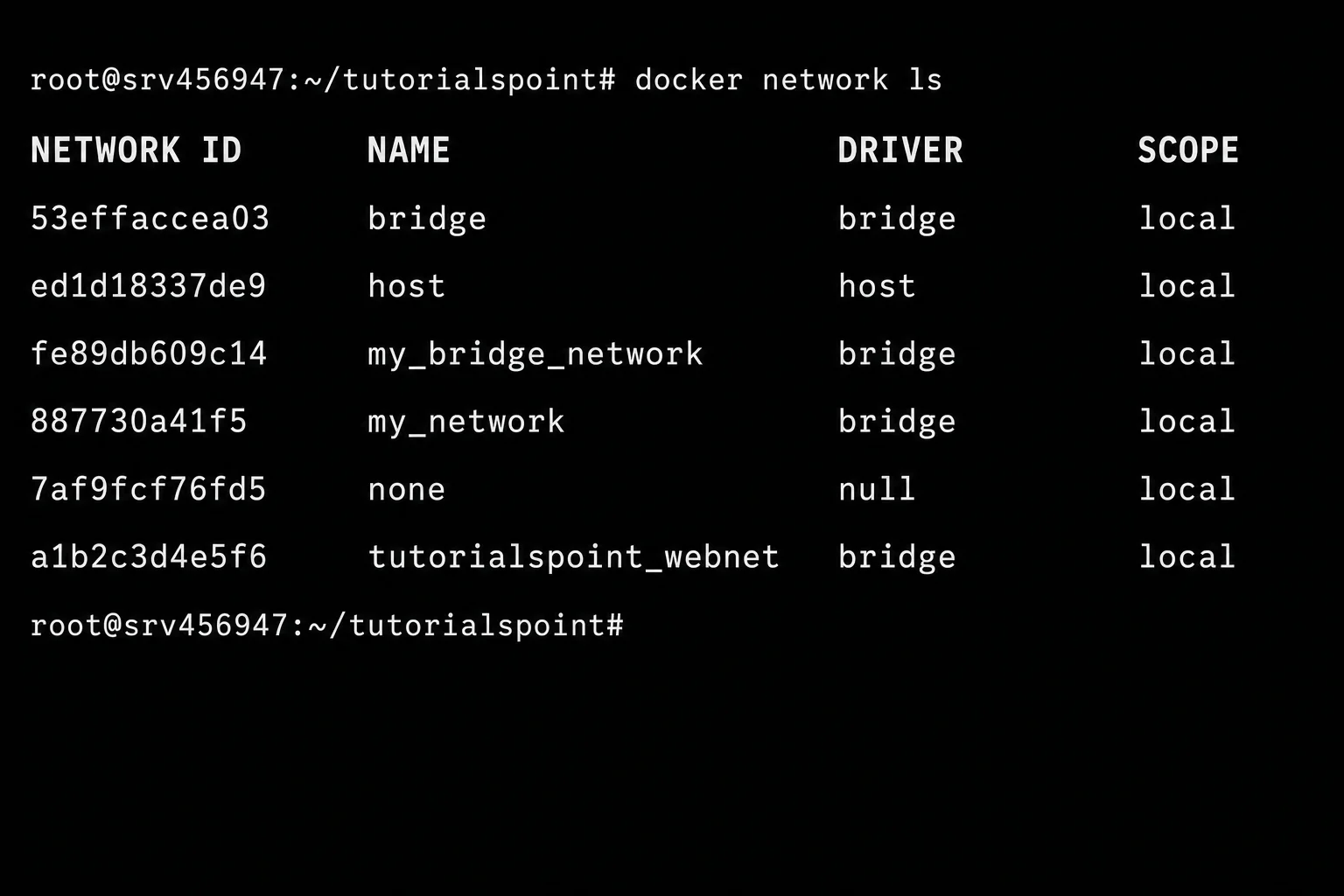 Terminal output of 'docker network ls' showing NETWORK ID, NAME, DRIVER, SCOPE columns with bridge, host, none, and at least one user-defined network visible