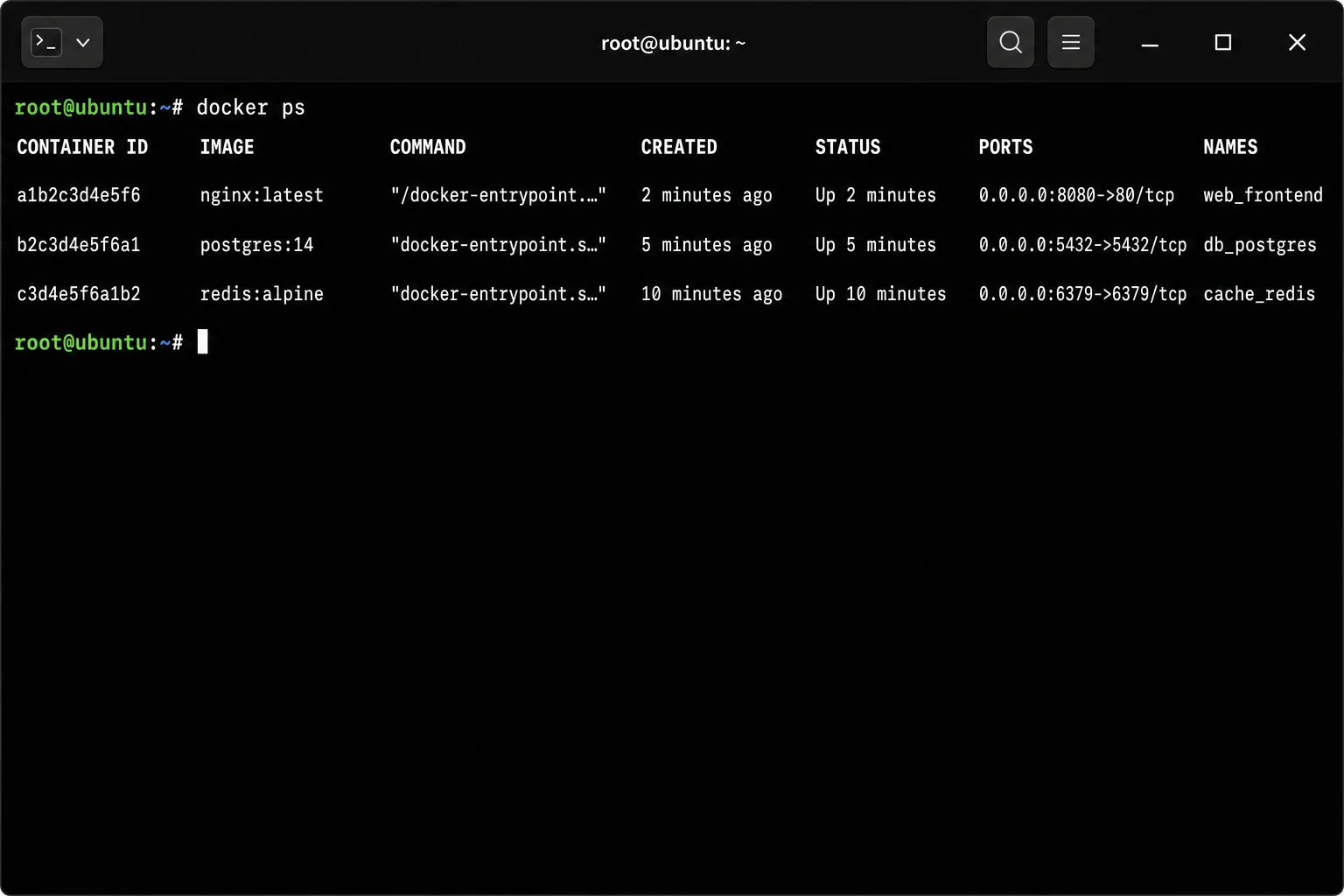 Terminal output of 'docker ps' showing CONTAINER ID, IMAGE, STATUS, and PORTS column with 0.0.0.0:8080->80/tcp style mappings visible