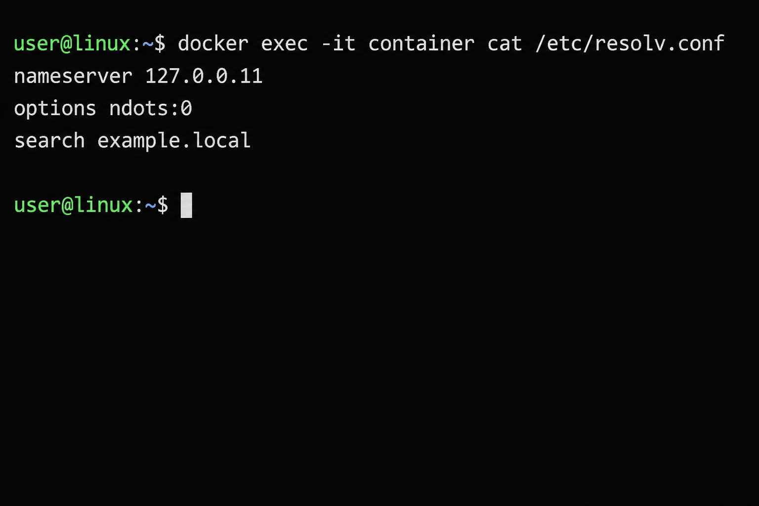 Terminal output of 'docker exec -it container cat /etc/resolv.conf' showing nameserver 127.0.0.11 — Docker's internal DNS resolver address