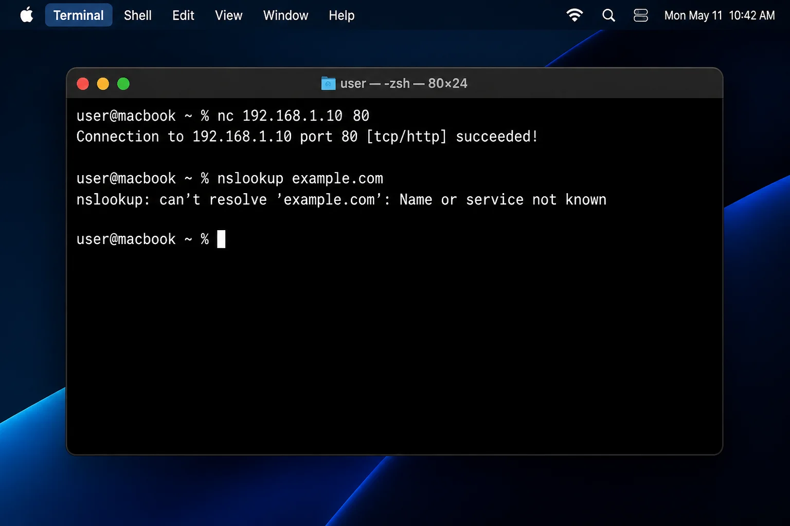 Terminal showing a successful nc connection to the destination IP followed by a failed nslookup of the destination name, demonstrating DNS isolation