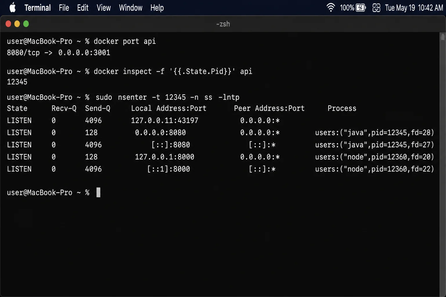 Terminal showing docker port api followed by ss -lntp in the api network namespace, with host port 3001, container port 8080, and listener address visible