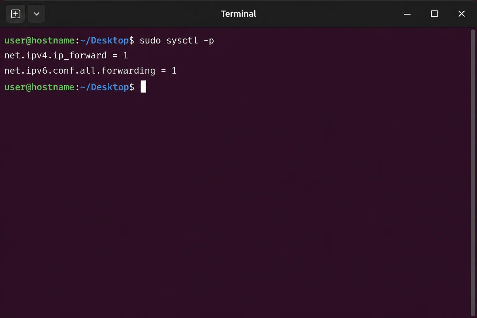 Native Linux host terminal showing IPv4 forwarding set to 1, the DOCKER-USER chain, and relevant NAT entries after container-level tests have completed