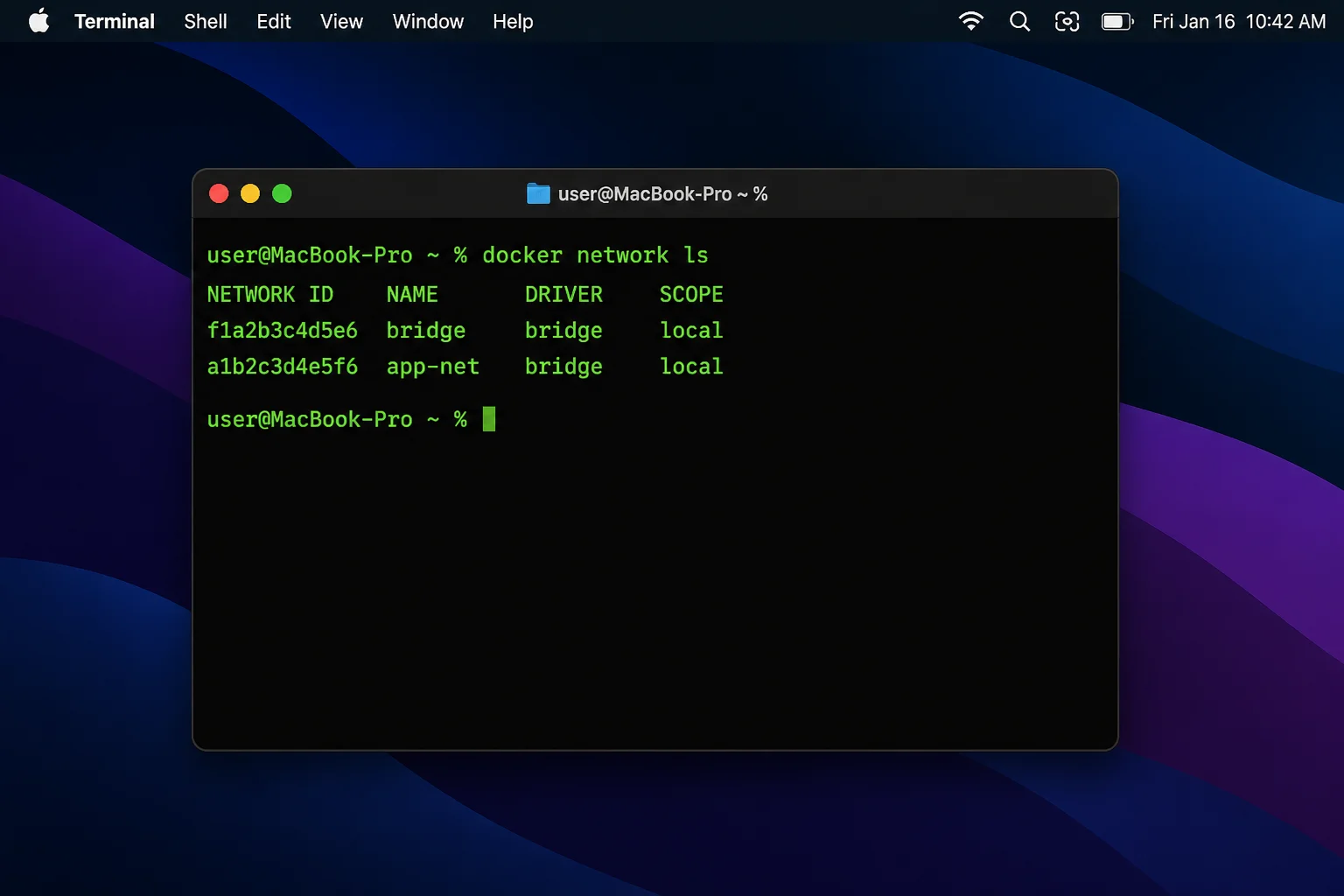 macOS Terminal showing docker network ls with the default bridge and app-net user-defined bridge, including the NAME and DRIVER columns