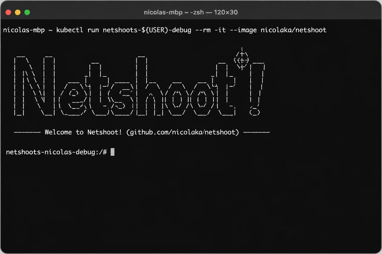 Netshoot shell attached to app-net, showing the docker run command followed by nslookup api and nc -zv api 8080