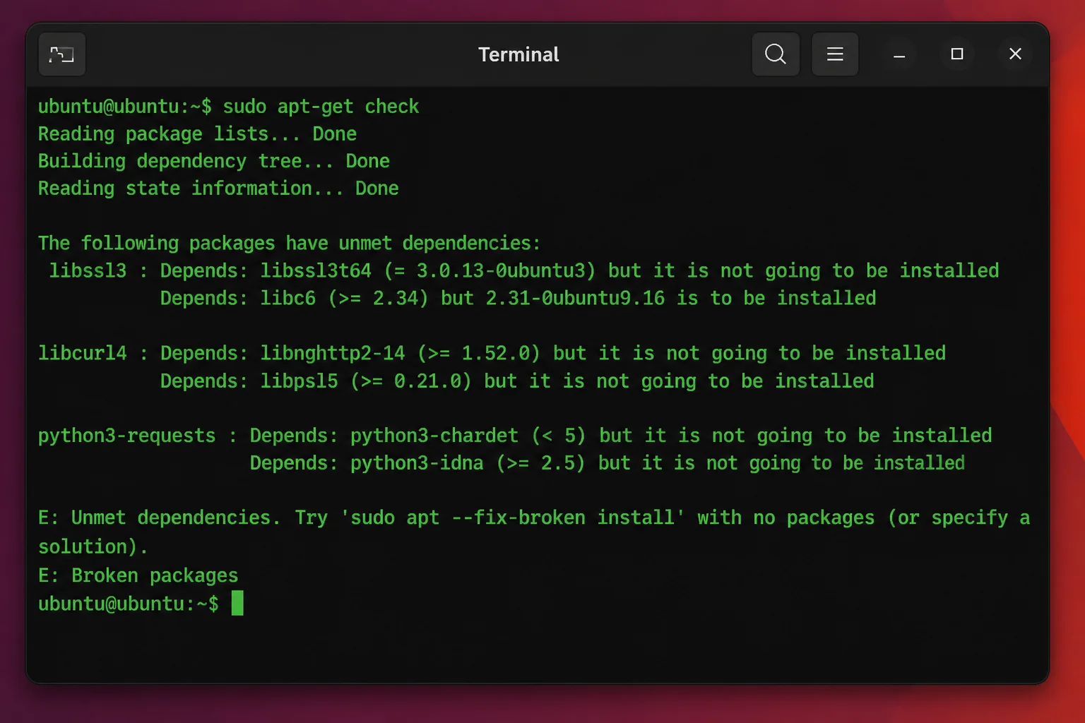 Terminal output of `sudo apt-get check` on Ubuntu 24.04 showing an unmet dependency error naming the broken package