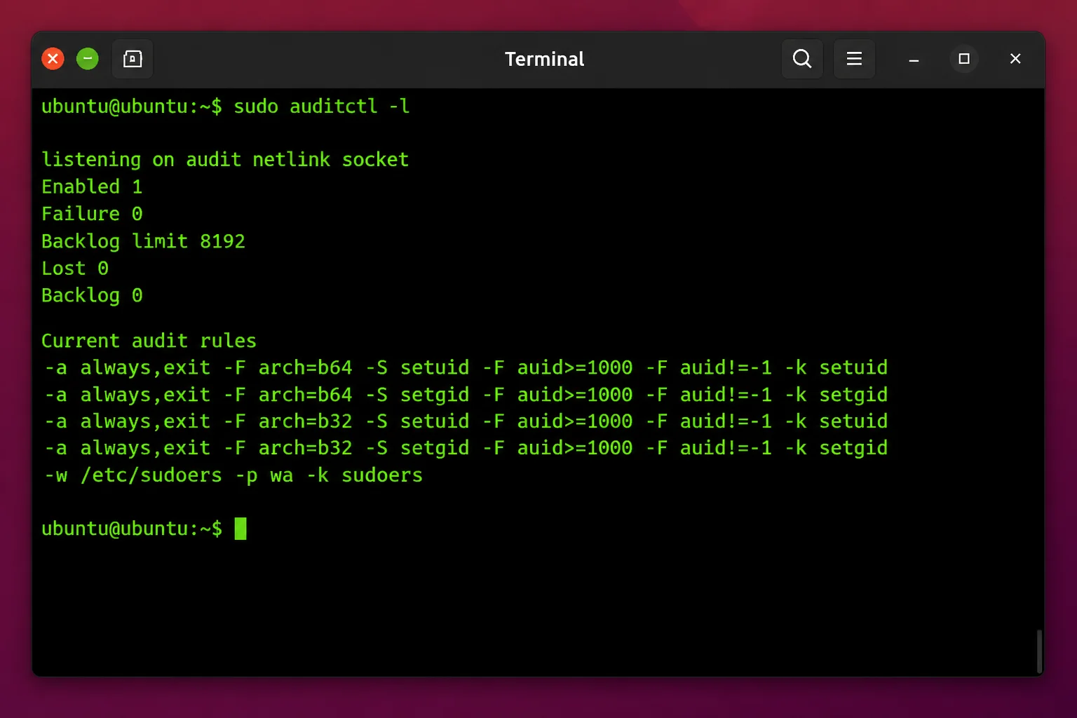 Terminal output of `sudo auditctl -l` listing active audit rules watching /etc/sudoers and the setuid/setgid syscalls