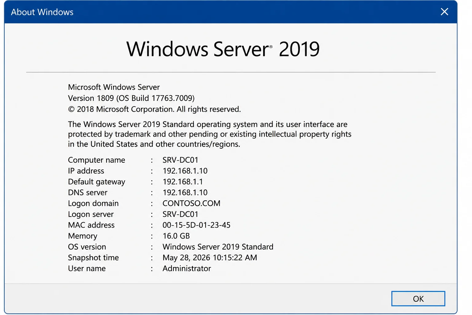 Windows Server About or System Information view showing release, edition, and build with hostname, domain, product ID, license data, and organization redacted