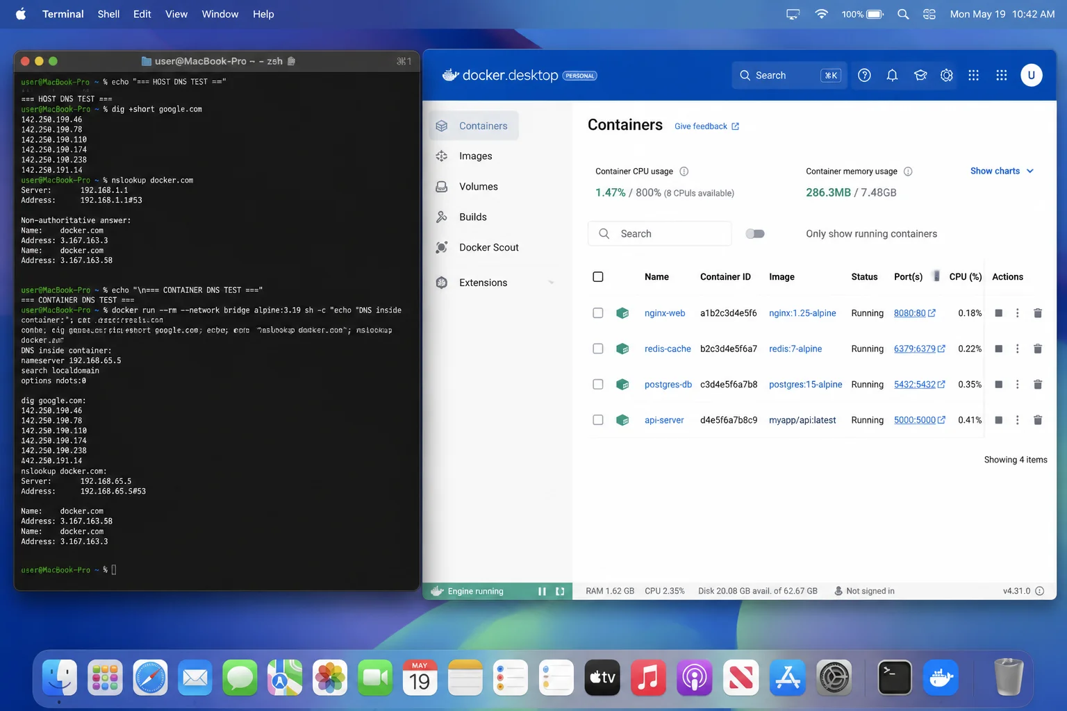 macOS desktop with Terminal open, showing Docker Desktop running and side-by-side host and container DNS test results