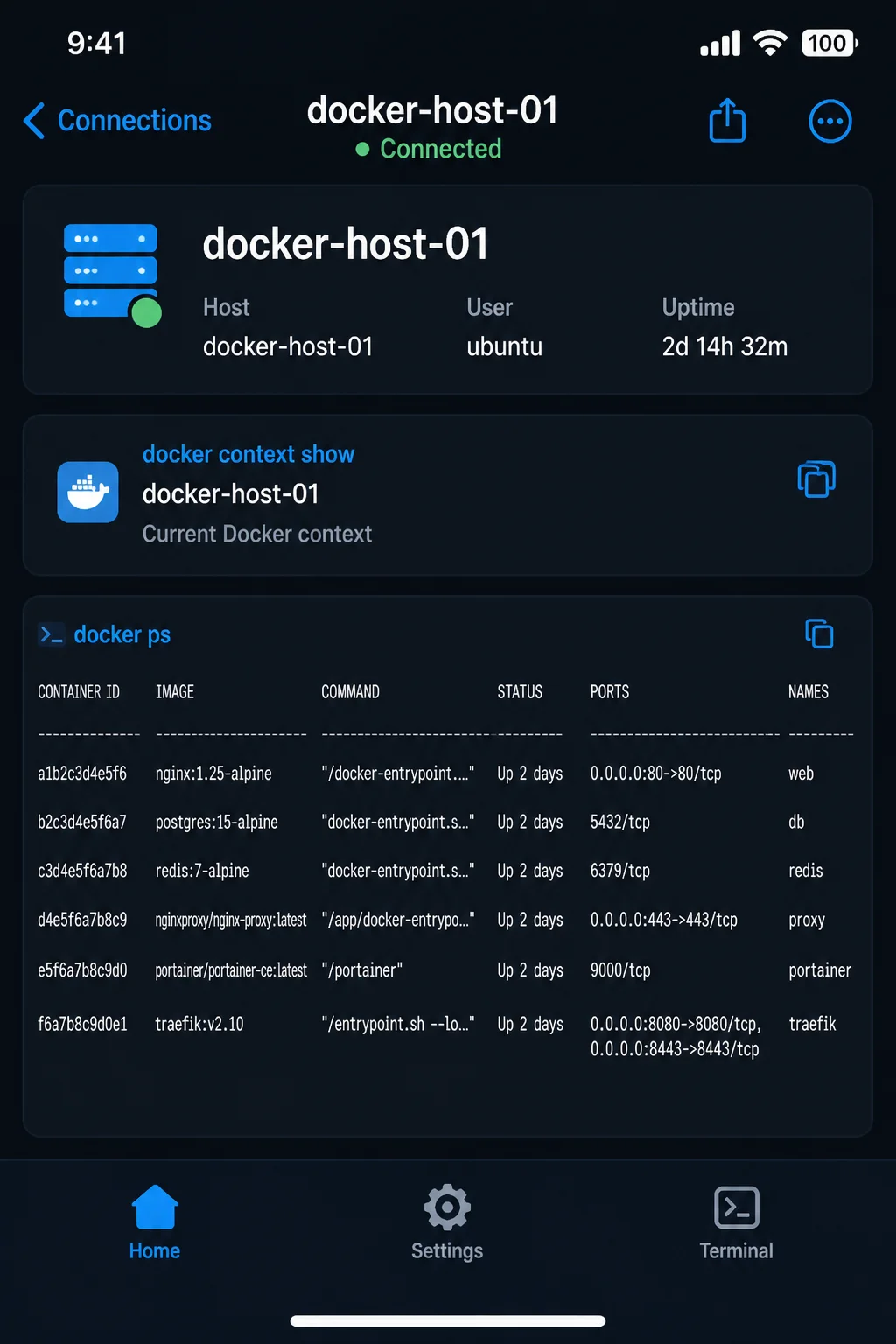 iOS SSH client connected to a remote Docker host with hostname, docker context show, and docker ps visible before DNS diagnostics