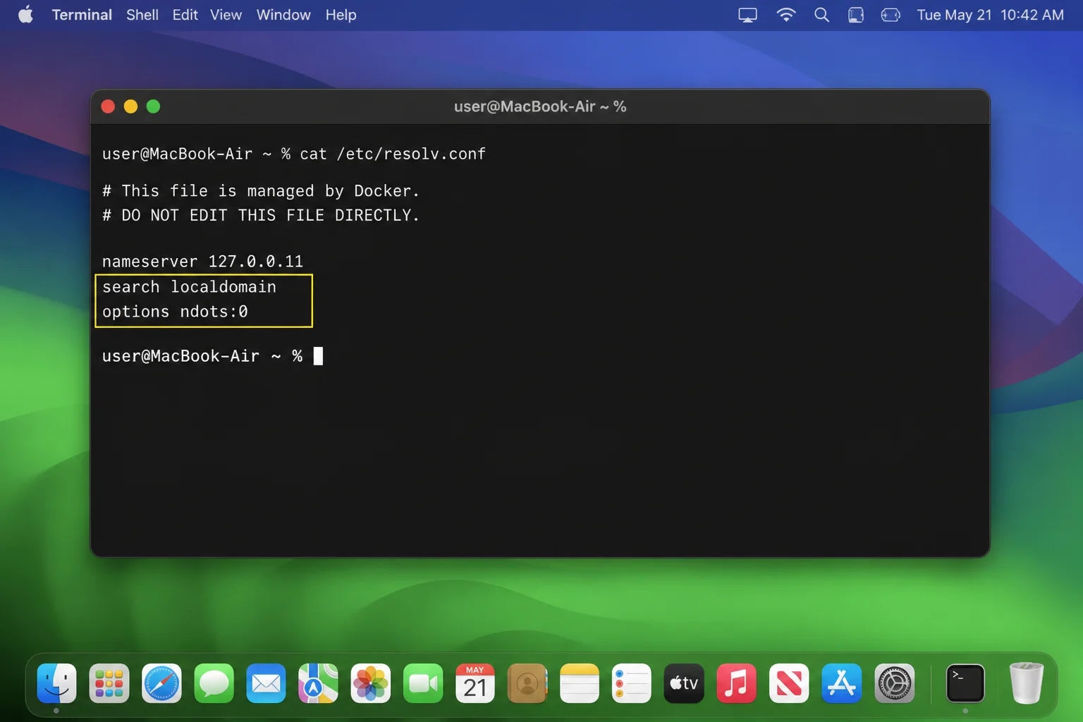 Terminal showing docker exec app cat /etc/resolv.conf with the 127.0.0.11 nameserver, search domain, and ndots option highlighted