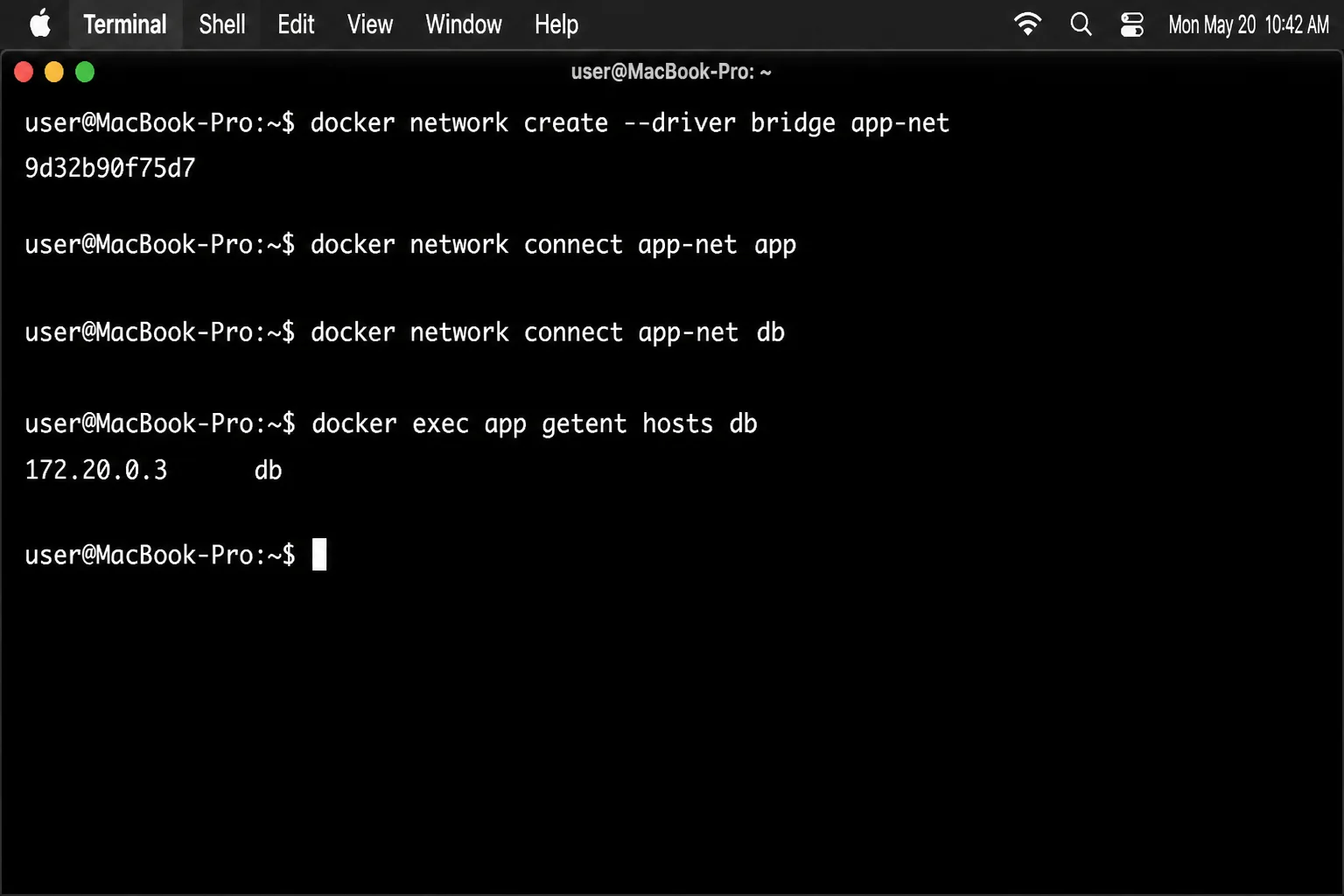 Terminal showing creation of app-net, both containers attached, and a successful lookup of db from app